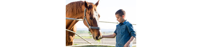 תומר חוזר לנהל את הסוס ואת ה-ADHD